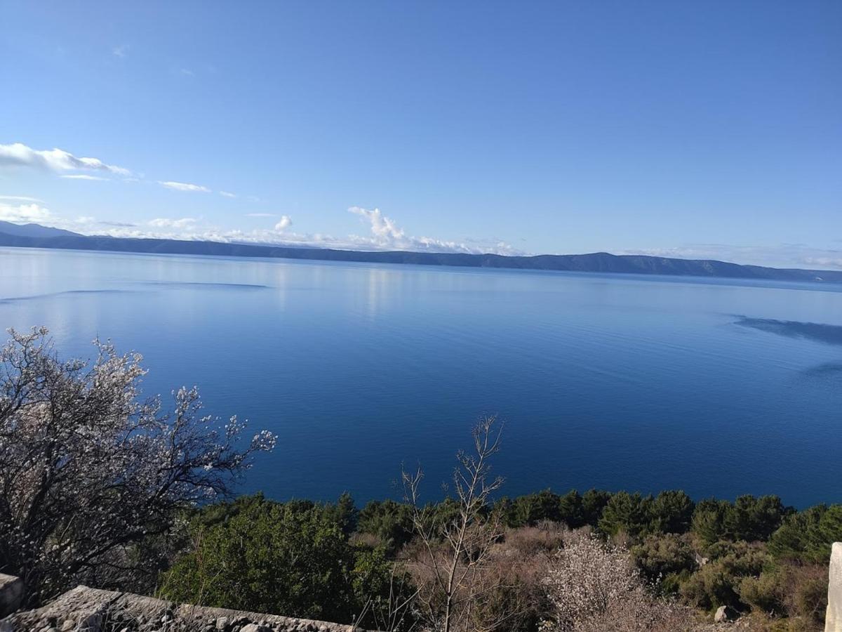 Apartman Krzenic With Sea View Podgora Εξωτερικό φωτογραφία